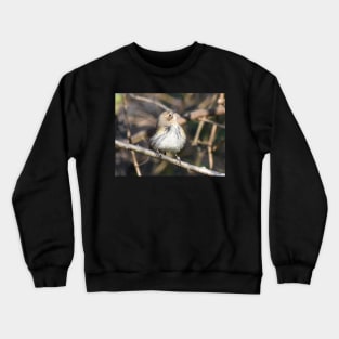 Yellow rumped warbler Crewneck Sweatshirt